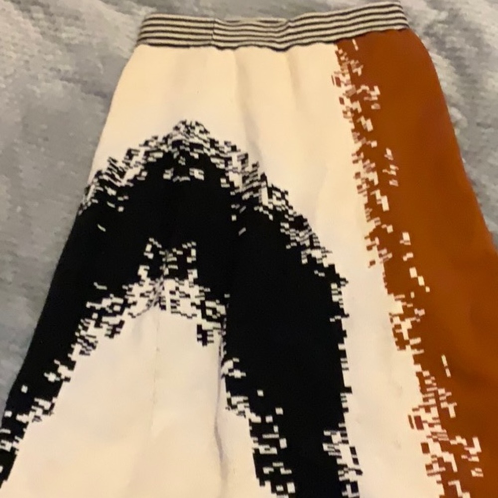 Multicolor Graphic Women's Skirt